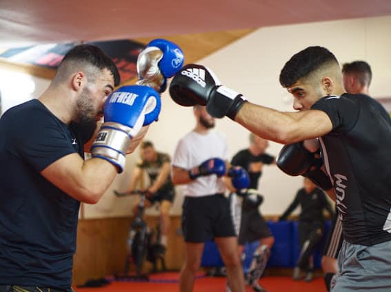 sandro and andrei thaiboxing